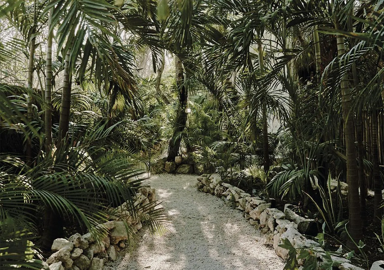 Una Vida Villa Tulum Hotel